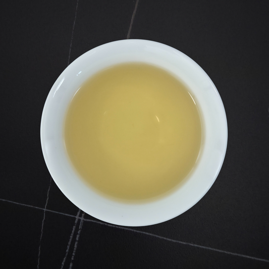 golden liquor of jin xuan oolong tea in white cup