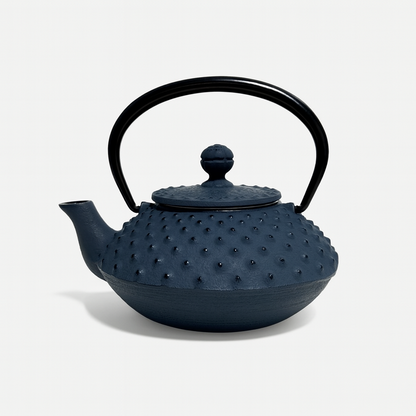 Hoshikage cast iron tetsubin teapot with dark blue arare hailstone pattern Japanese teapot