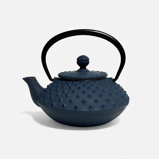 Hoshikage cast iron tetsubin teapot with dark blue arare hailstone pattern Japanese teapot