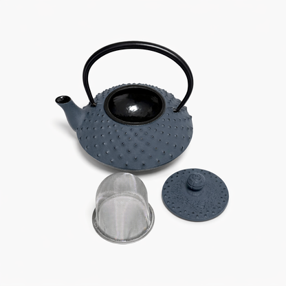 Japanese cast iron tetsubin teapot with removable stainless steel strainer and lid
