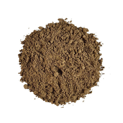 Light roast hojicha powder with a warm golden-brown color and fine, smooth texture.