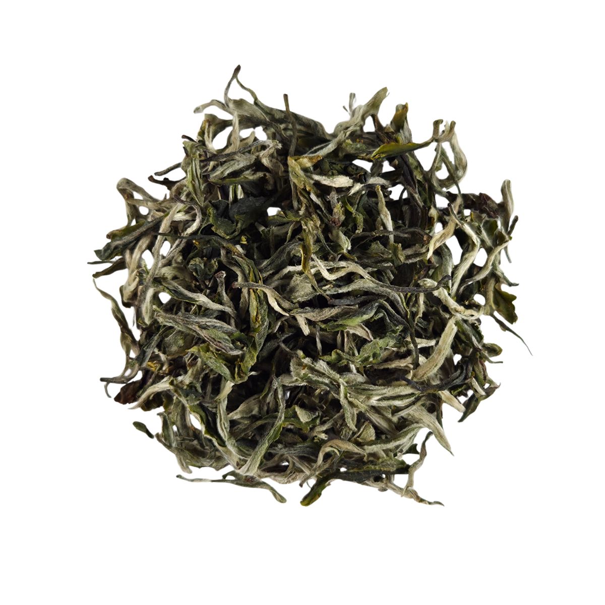 Loose Mao Feng Yunnan green tea leaves