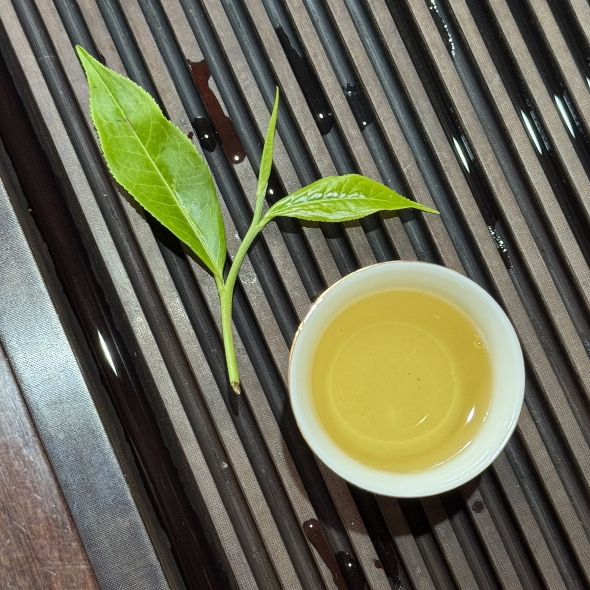 Cup of brewed tea with fresh tea leaves on a tray, representing an overview of tea and its origin