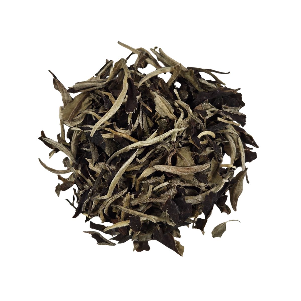 Loose leaf white tea with light, delicate leaves showing minimal processing